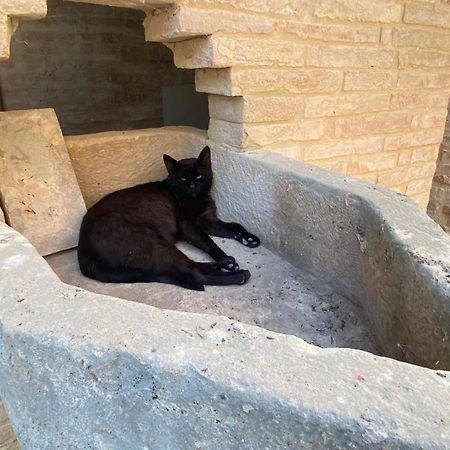 Al Teatro Di Tavignano Villa Cingoli Dış mekan fotoğraf