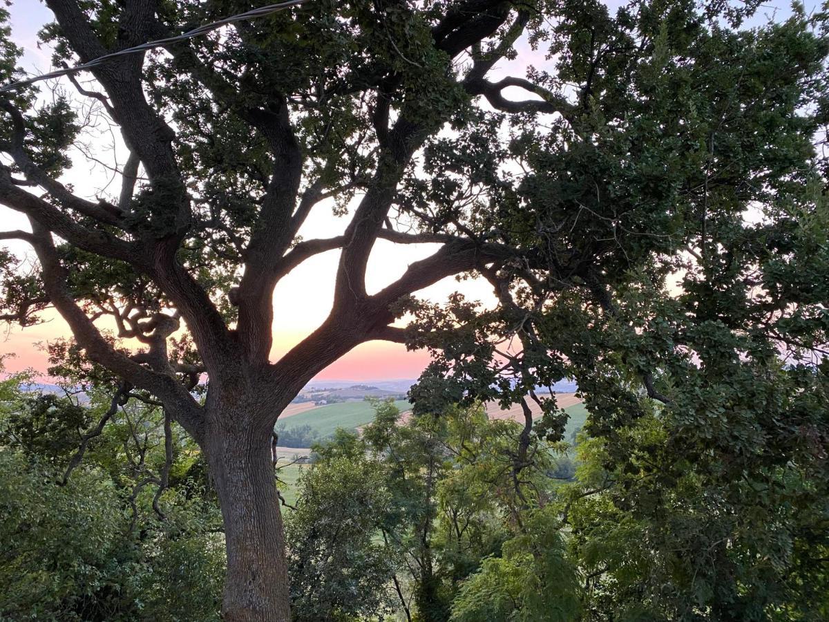 Al Teatro Di Tavignano Villa Cingoli Dış mekan fotoğraf