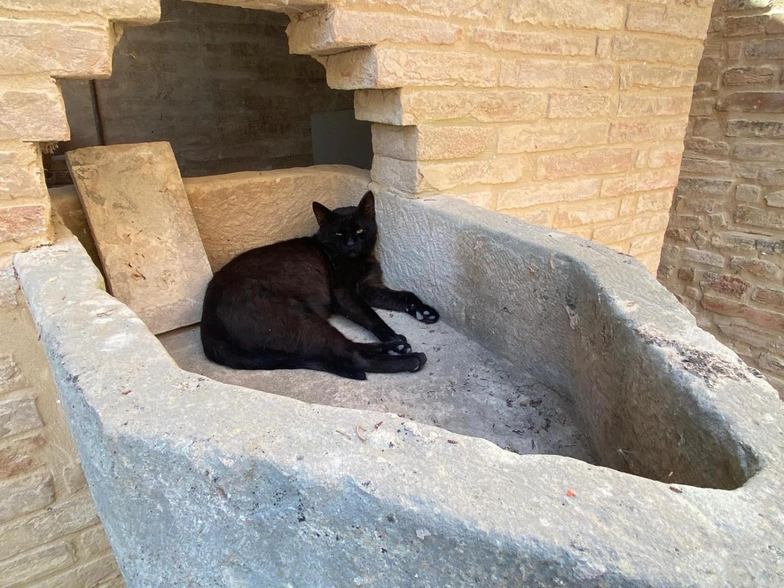 Al Teatro Di Tavignano Villa Cingoli Dış mekan fotoğraf