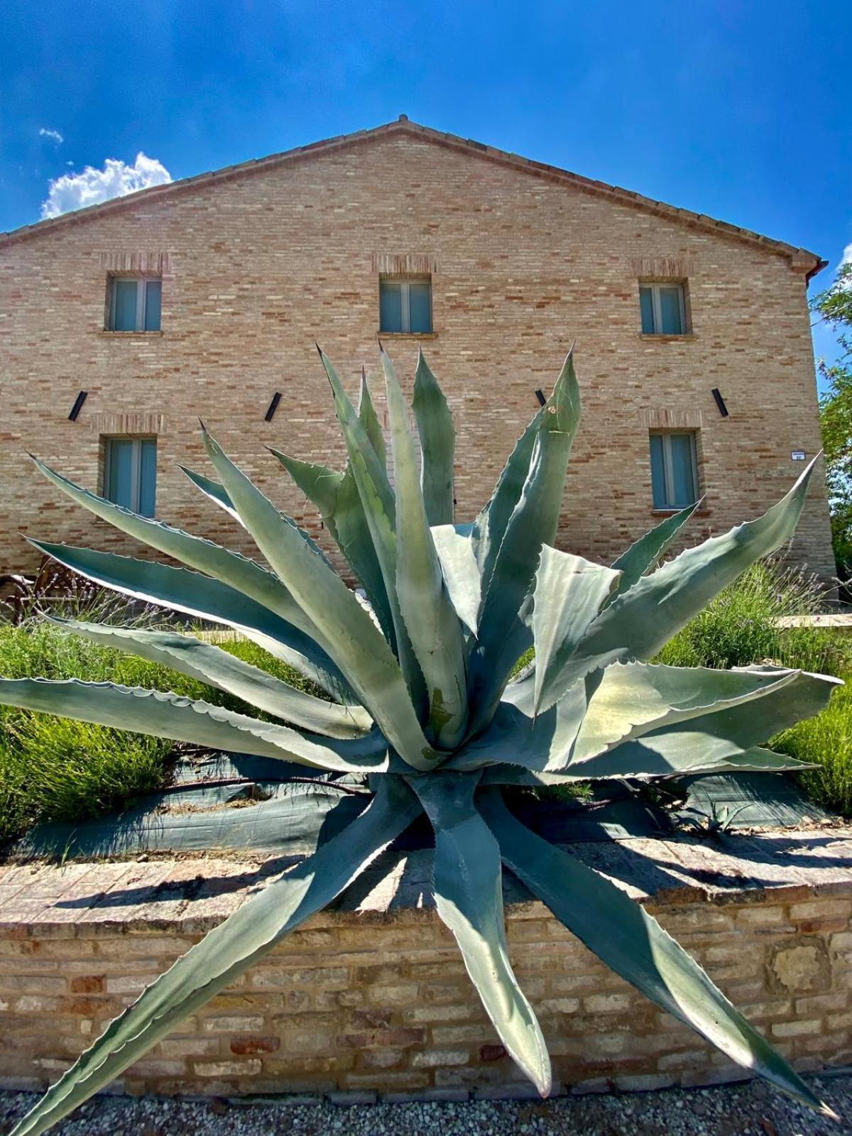 Al Teatro Di Tavignano Villa Cingoli Dış mekan fotoğraf