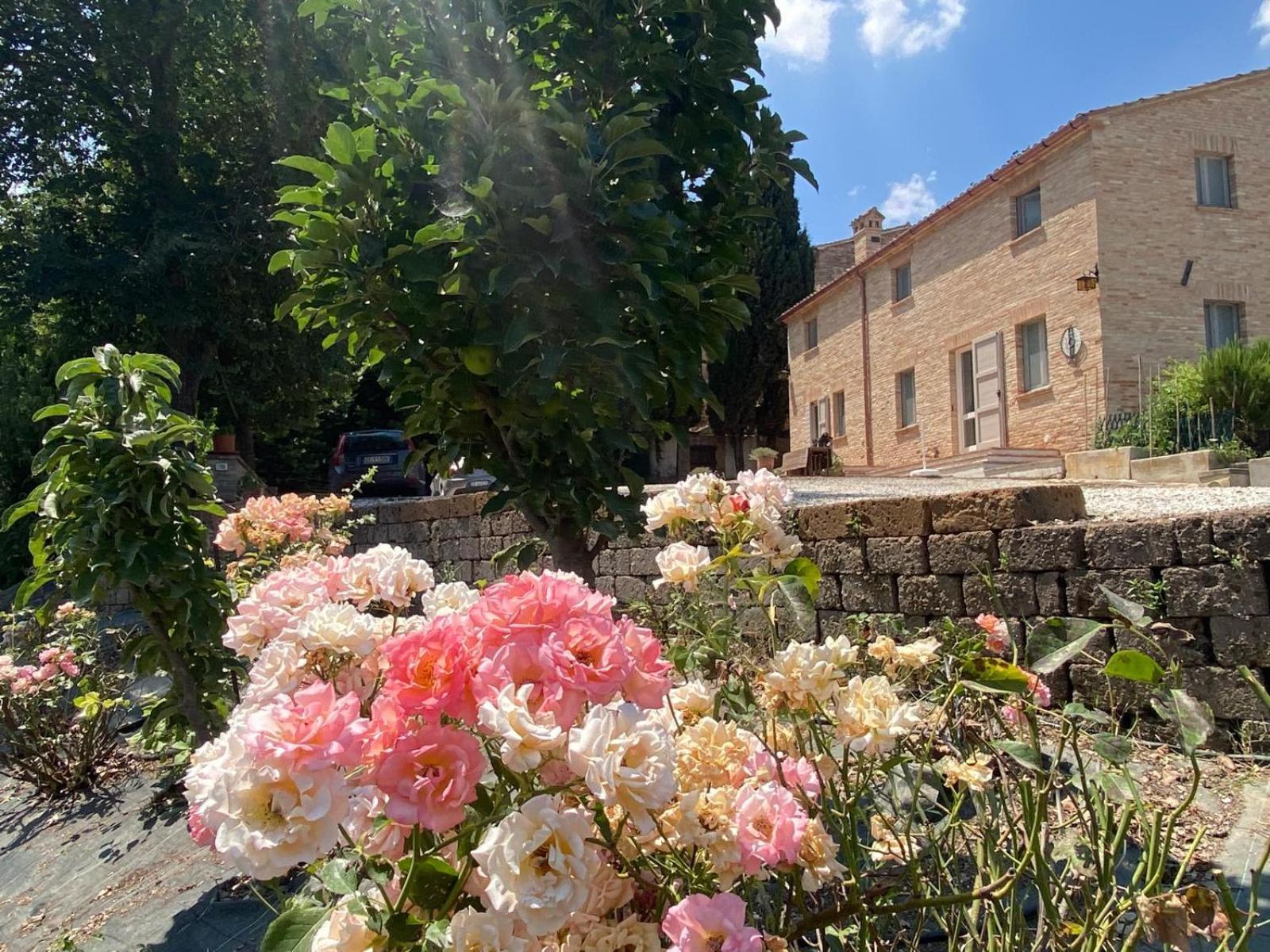 Al Teatro Di Tavignano Villa Cingoli Dış mekan fotoğraf